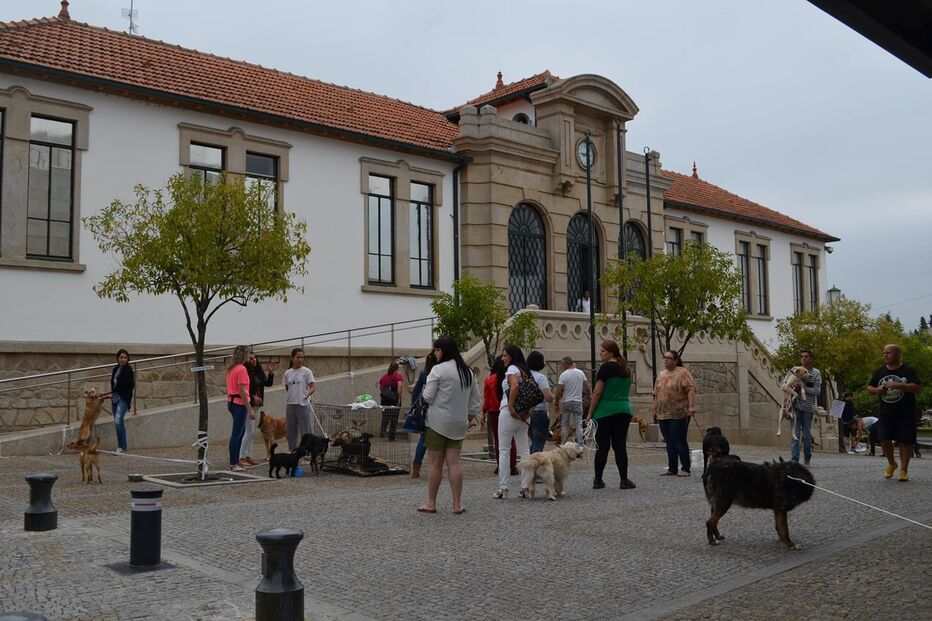 16-07-2015_22_58_09 13 norte.jpg