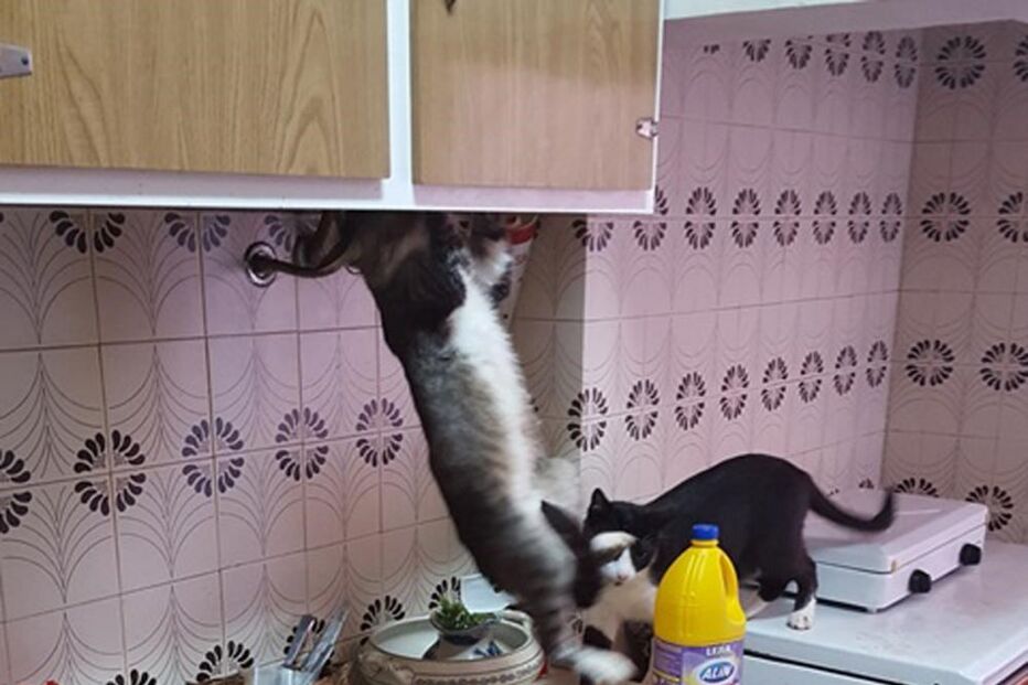 17-07-2015_22_29_41 10389772.JPG