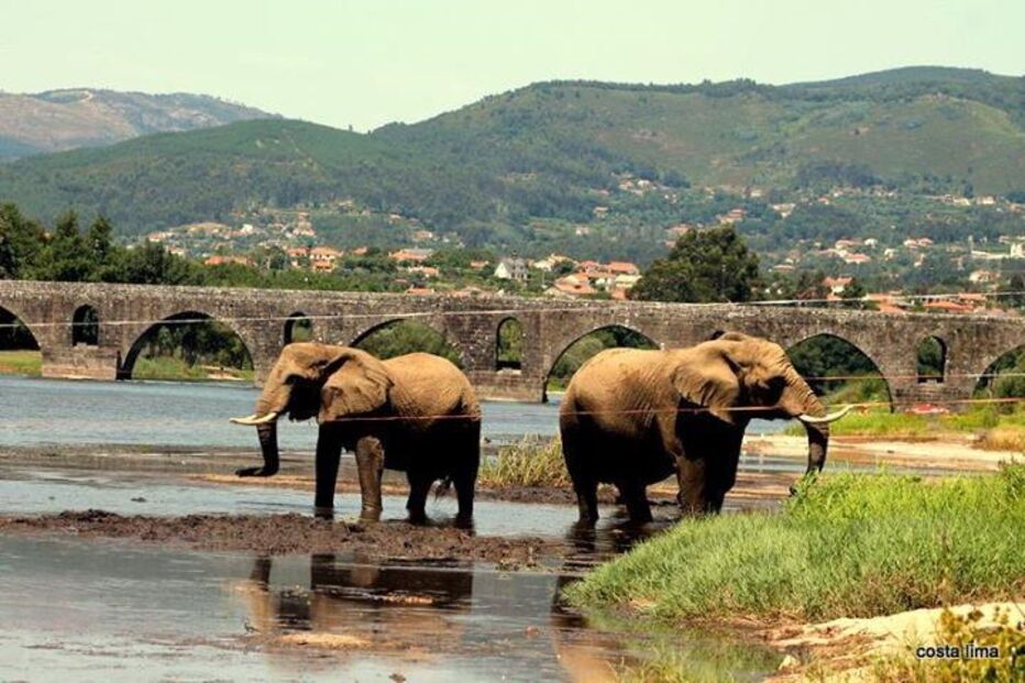 18-07-2015_01_21_45 10390082.JPG