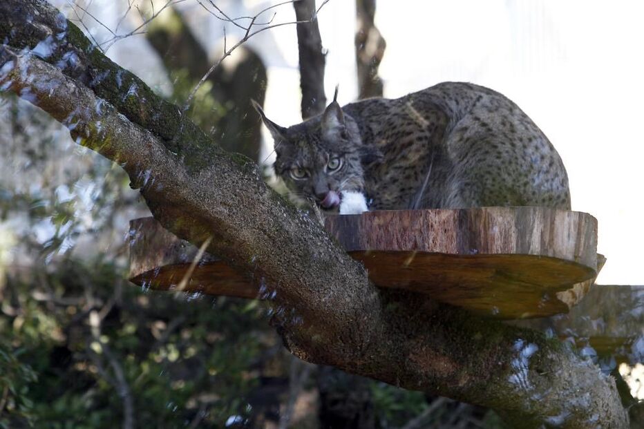 Jardim Zoológico de Lisboa