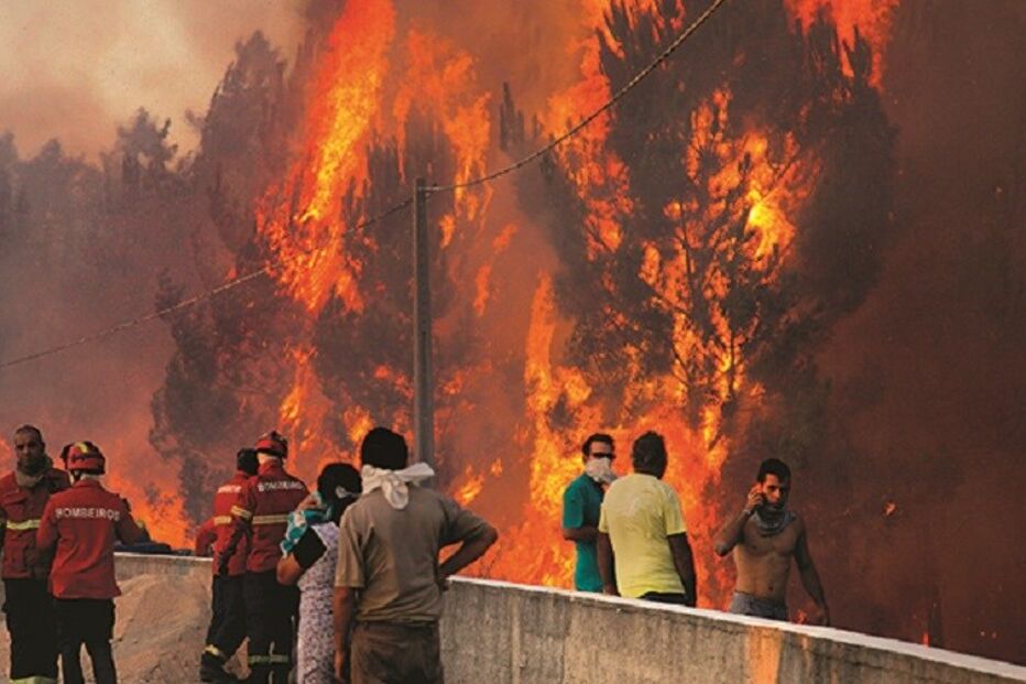 19-07-2015_23_38_37 Imagem 52a.jpg