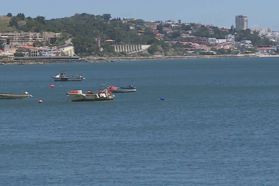 20-07-2015_14_09_34 frame.jpg