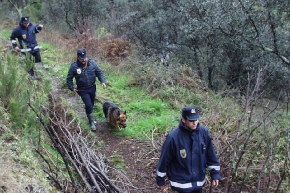 GNR, Seia, binómio, militares, cão, 