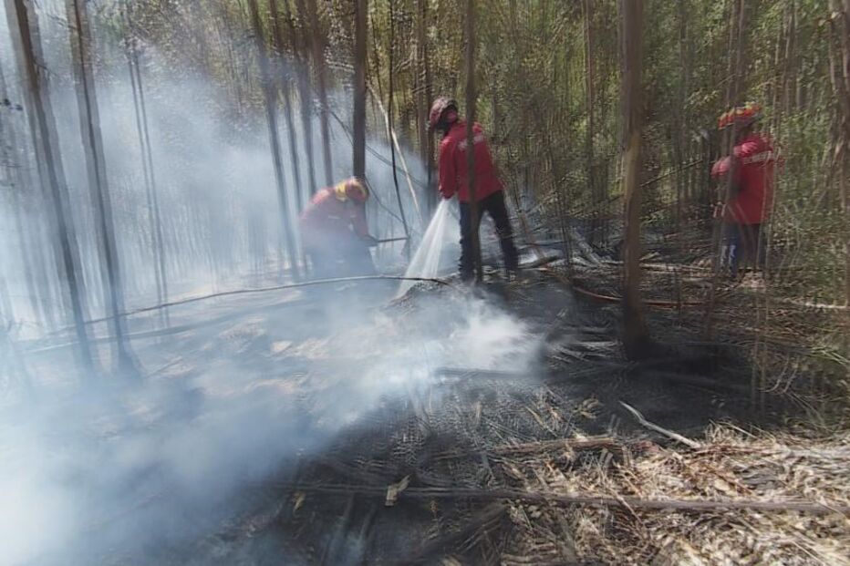 21-07-2015_12_39_44 8872261.JPG