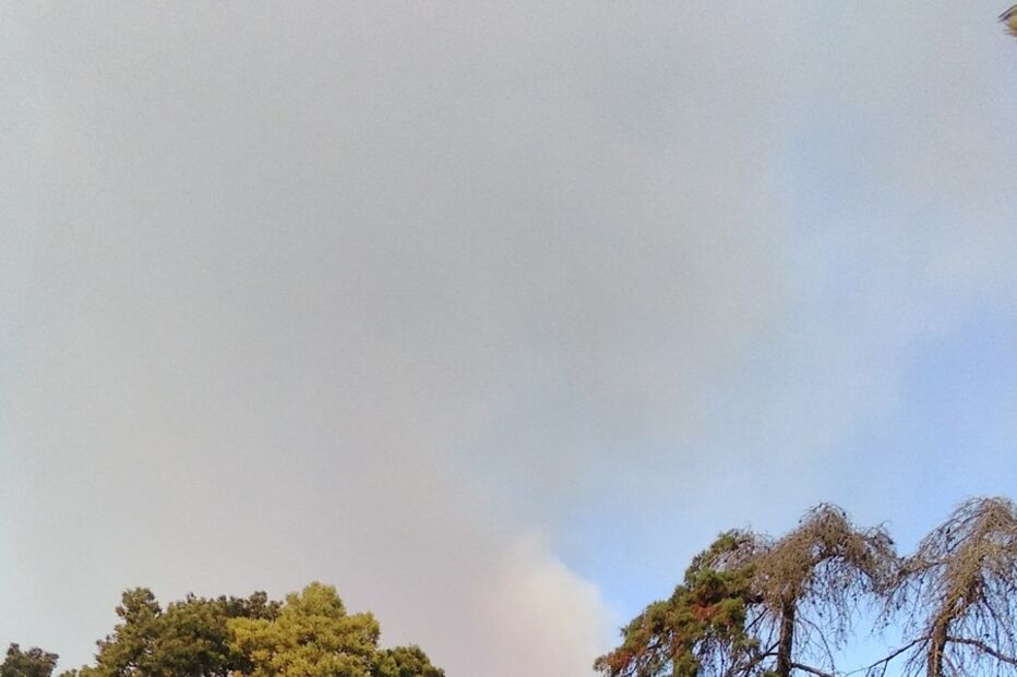 fotos, leitores, incêndio, Cascais