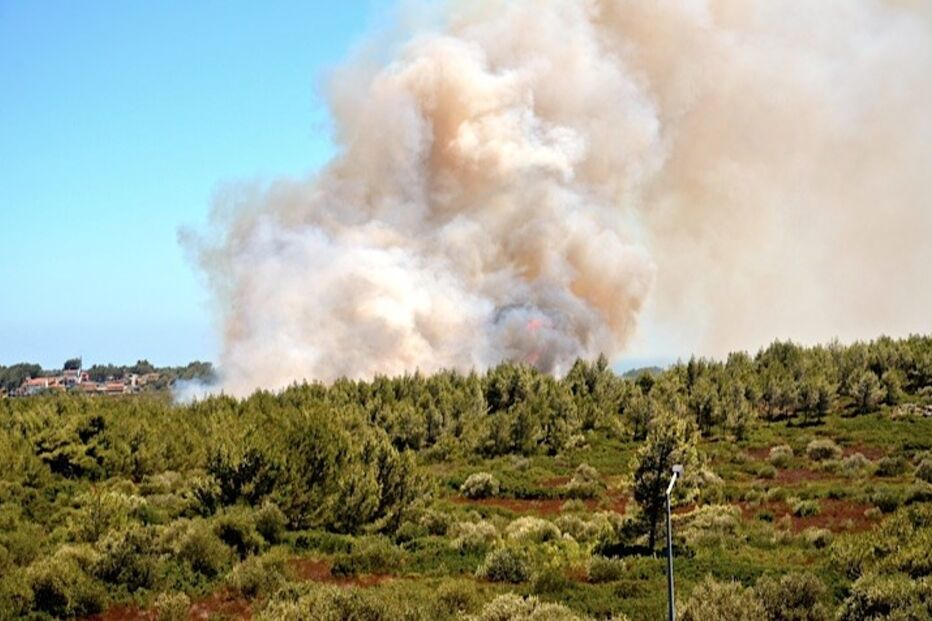 fotos, leitores, incêndio, Cascais