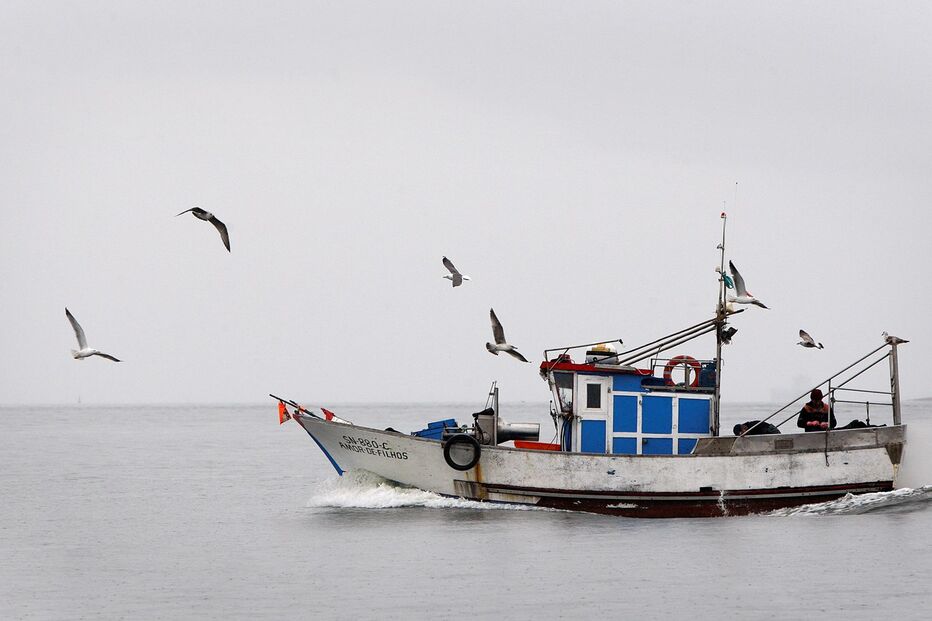 22-07-2015_01_16_05 15 conquilha.jpg