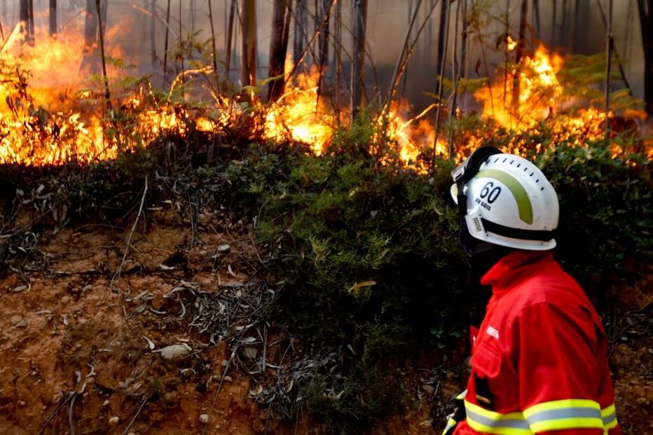 22-07-2015_01_24_02 15 lança fogo.jpg