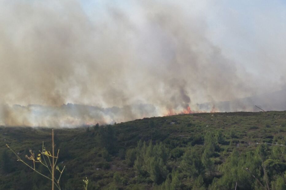 fotos, leitores, incêndio, Cascais