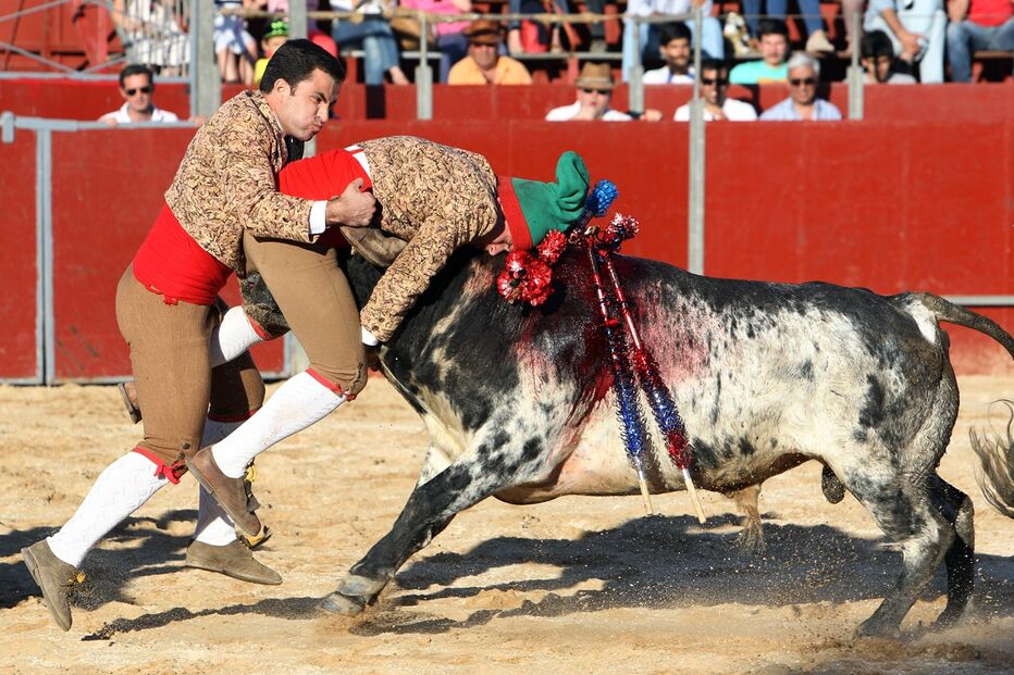 22-07-2015_22_59_13 37 tourada.jpg