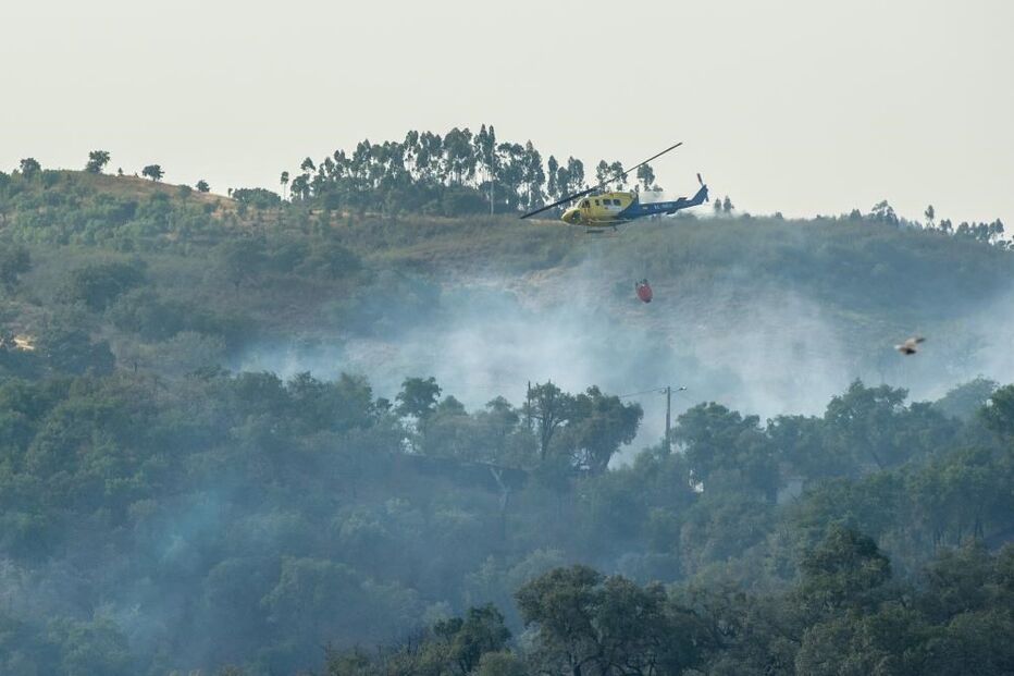 incêndio, fogo, floresta, mato