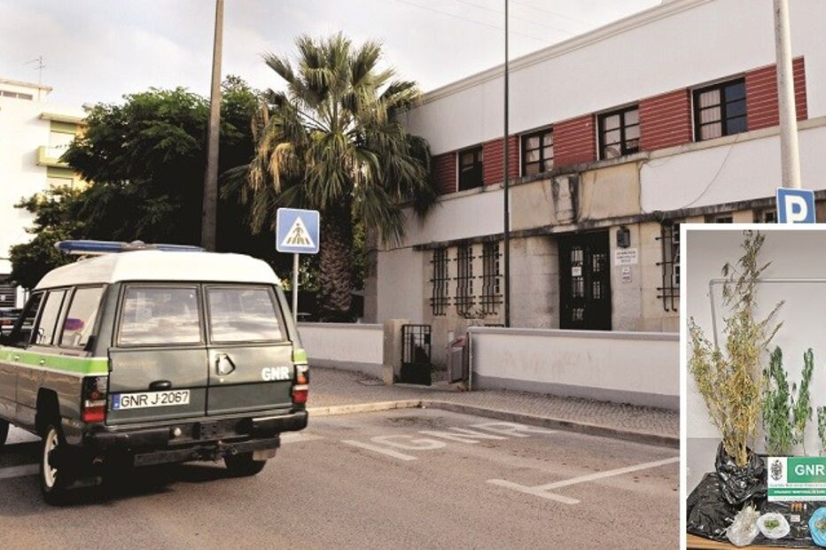 23-07-2015_22_40_46 Imagem alg12a.jpg