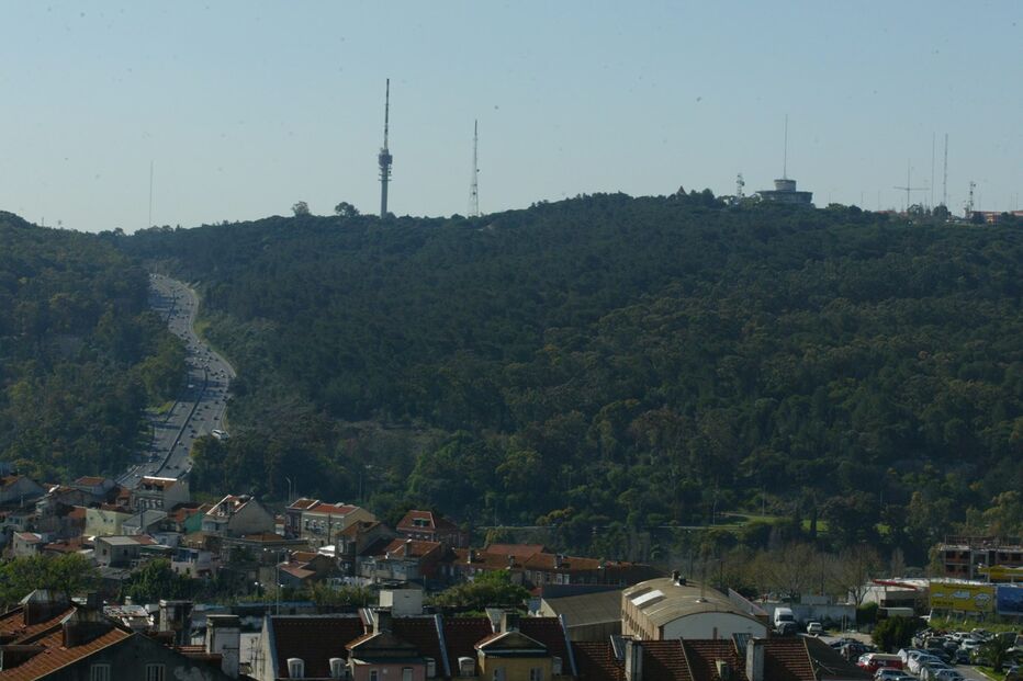 parque de Monsanto, Lisboa, Parque Florestal do Monsanto