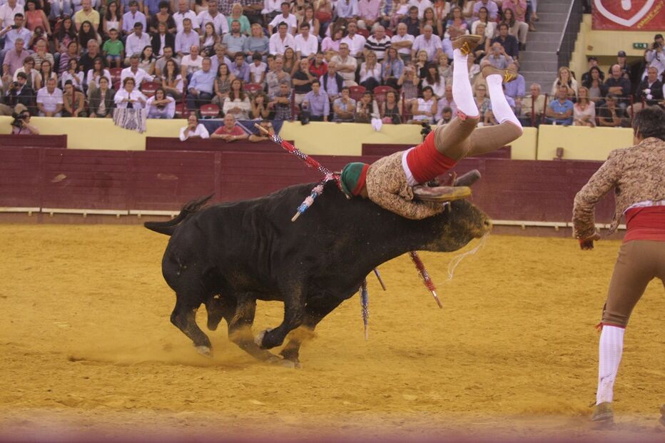 25-07-2015_04_37_20 37 tourada.jpg