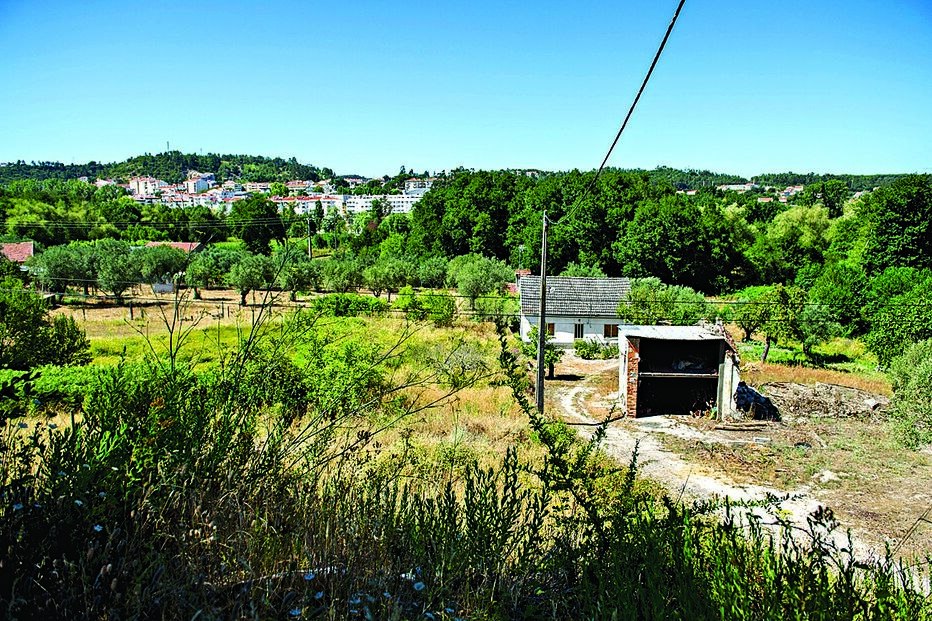 Atacam idosa para roubar 20€ 