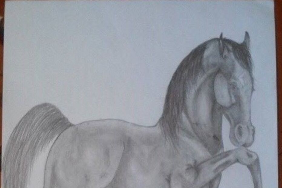 Joana Roque, Geração Arte