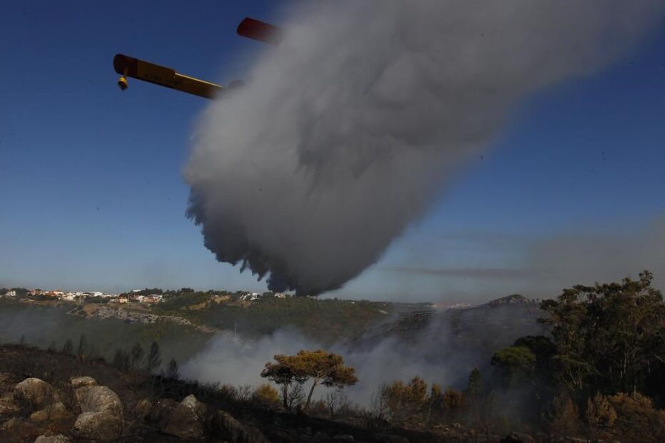 incêndio, fogo, floresta, mato