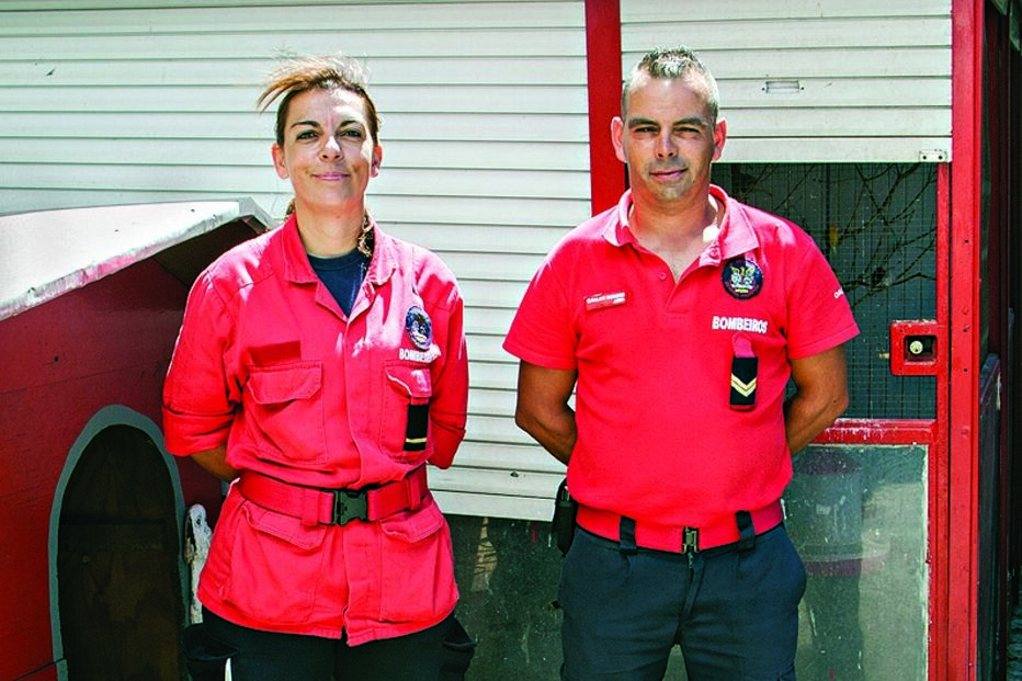 Cão anda 9 km para ir ao dono 