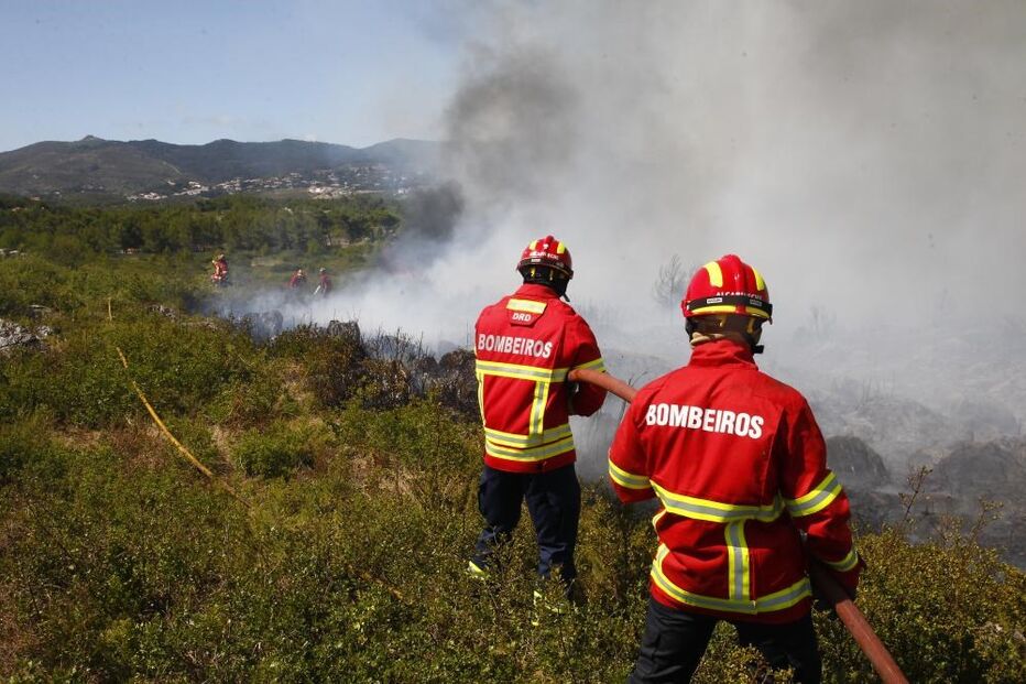 incêndio, fogo, floresta, mato
