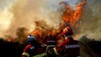 Dois fogos em Portugal mobilizam mais de 180 bombeiros