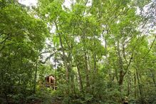 hotéis, férias, crianças verão