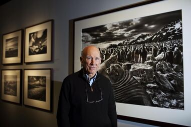 Sebastião Salgado, Genesis