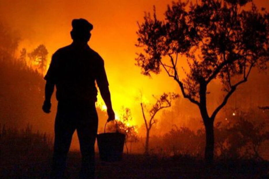 Incêndios Florestais, Oleiros, Área Ardida