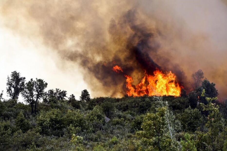 incêndio, Oleiros, Castelo Branco, fogo, chamas, 