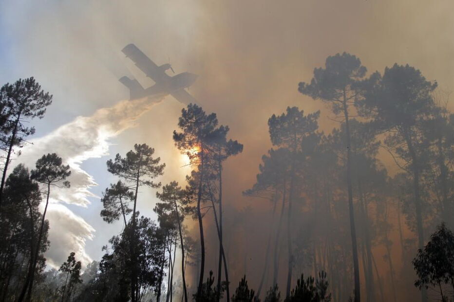 Incêndios, Portugal, Ourém, Alcanena, Vieira do Minho