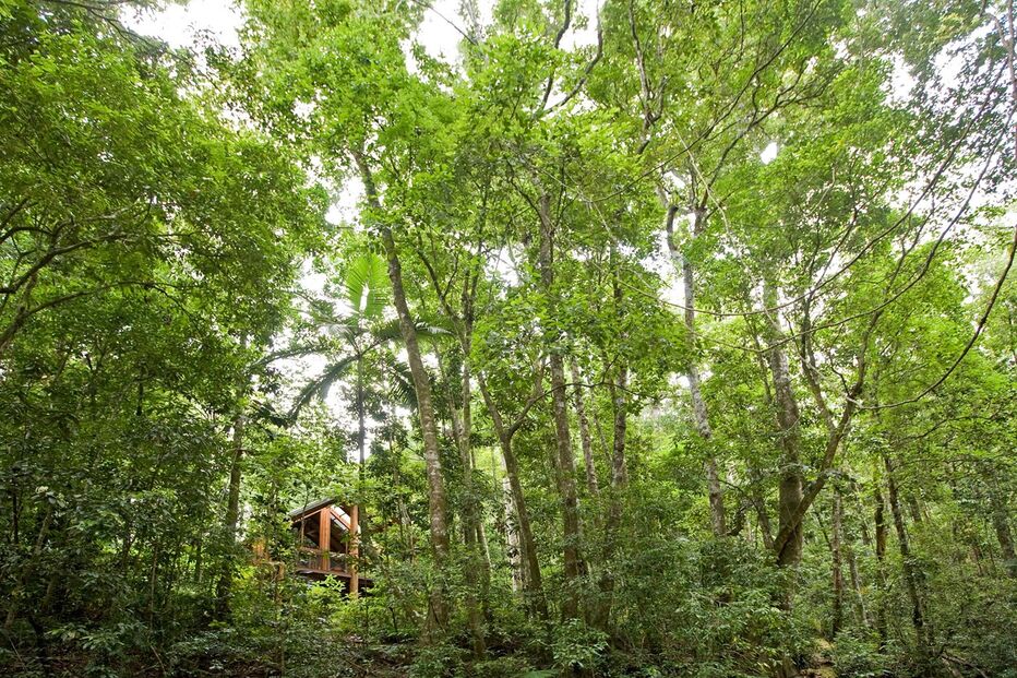 hotéis, férias, crianças verão