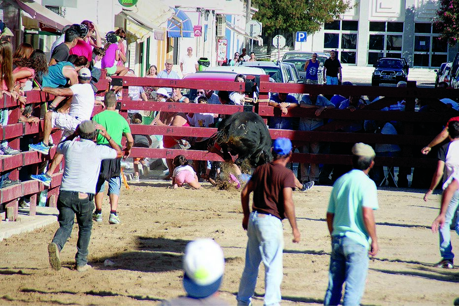 menina, criança, touto, tourada, corpo, pai