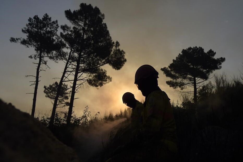 incêndio, fogo, floresta, mato