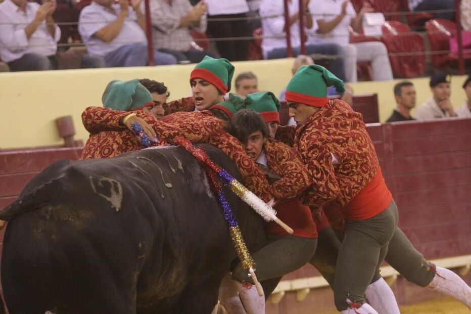 corrida, touros, emigrantes, homenagem