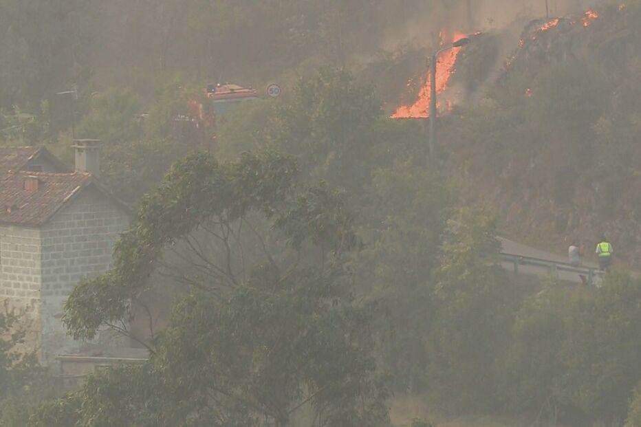 Incêndio, foto, floresta, mato