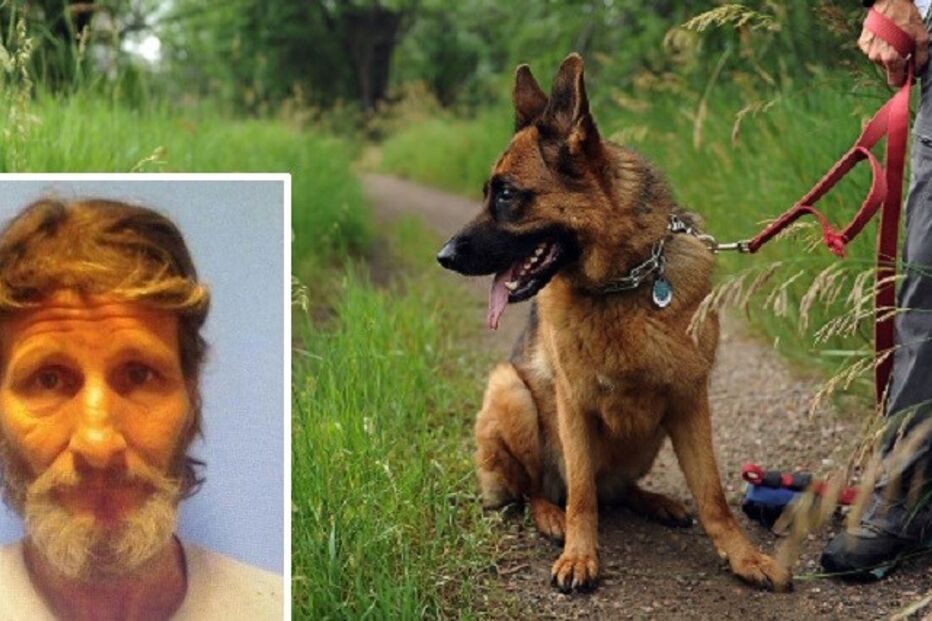 08-08-2015_19_43_02 pastor.jpg