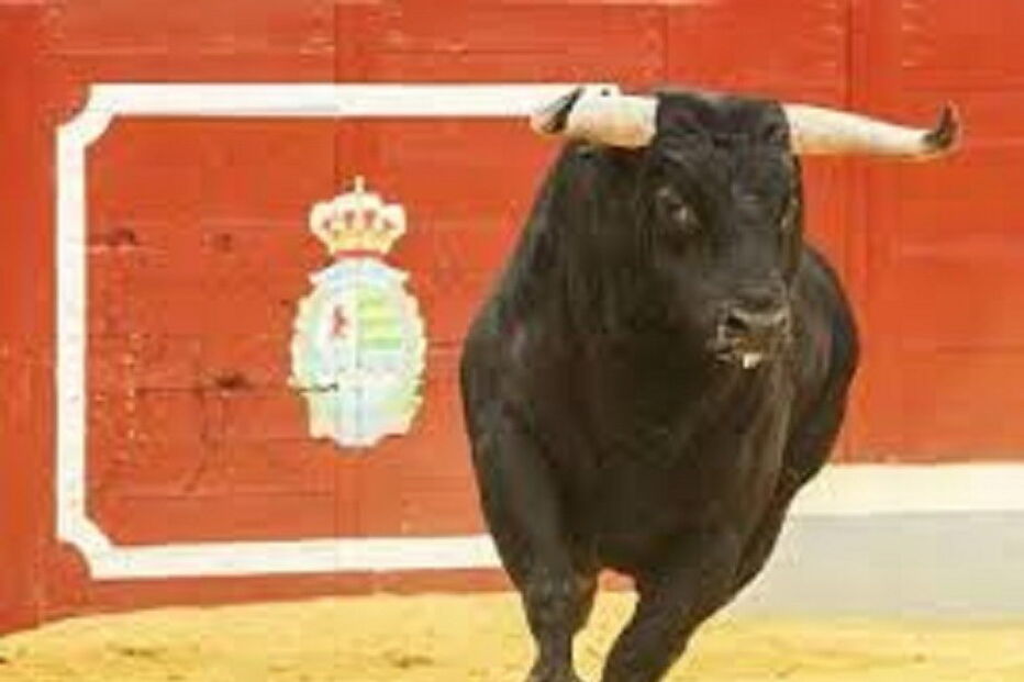 Touro, Largada, Morte, Espanha