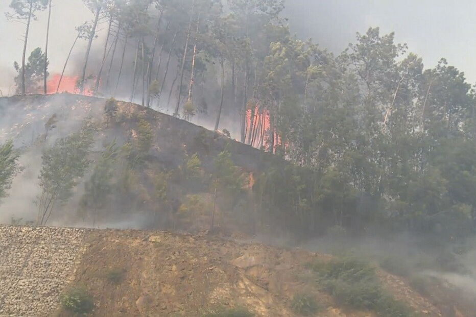 Incêndio, fogo, Miranda do Corvo