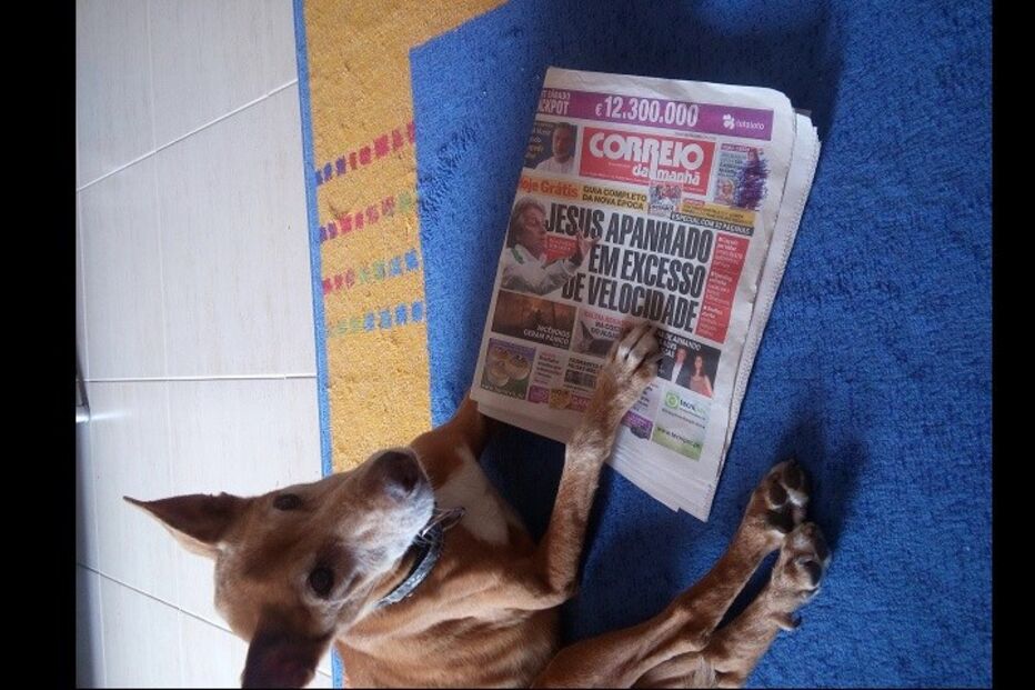 supertaça, benfica, sporting