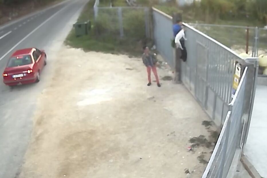 atiram cão, espanha