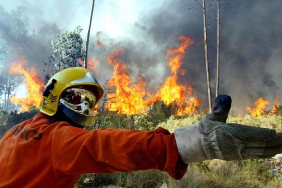 09-08-2015_22_25_06 incêndio alcanena.JPG