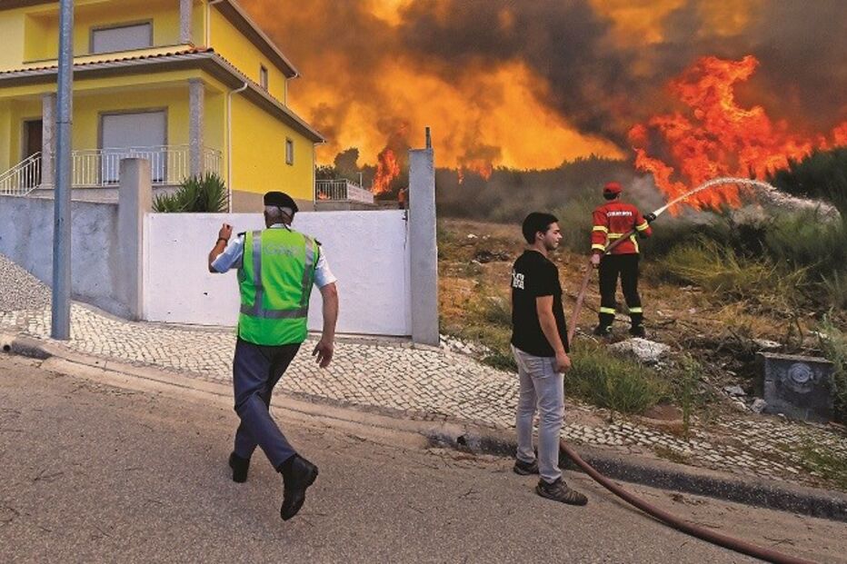 10-08-2015_23_27_47 Imagem 10498036 copy.jpg