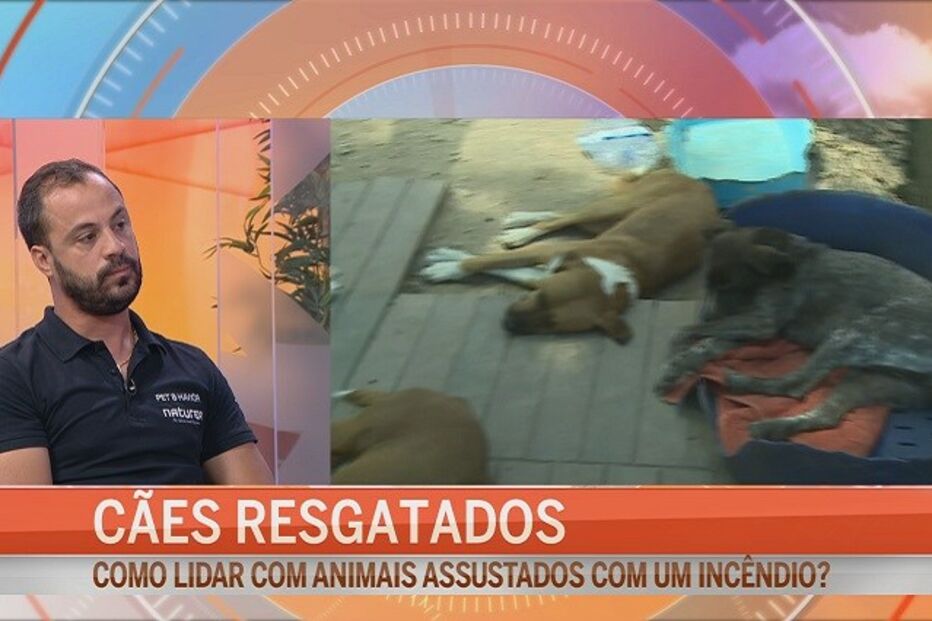 12-08-2015_11_53_41 caes.jpg