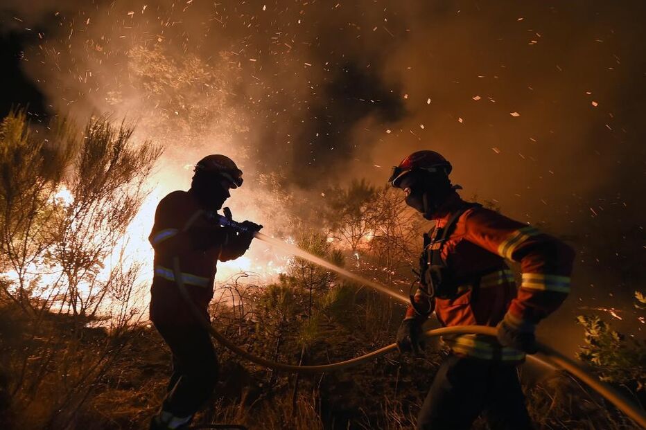 incêndio, fogo, floresta, mato