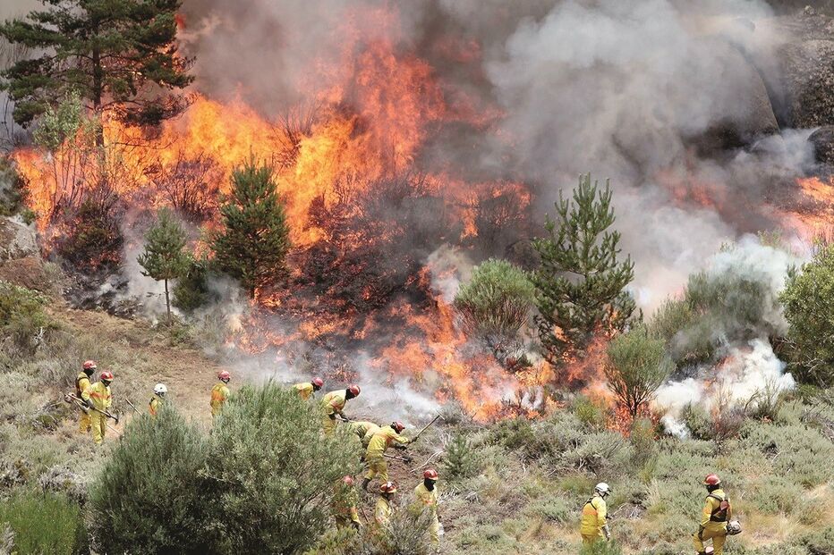 13-08-2015_23_46_49 16 fogo.jpg