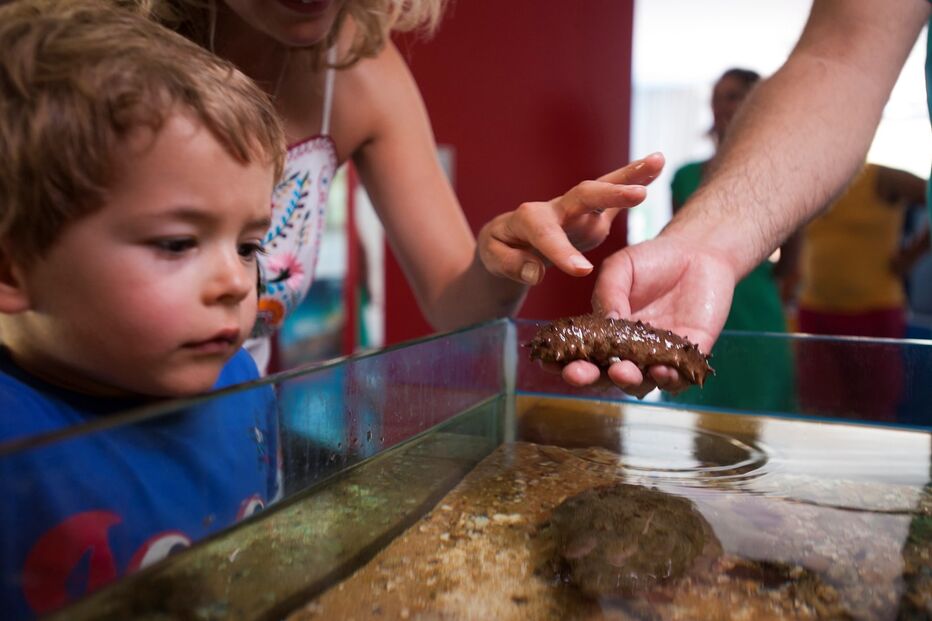 14-08-2015_12_29_52 10416898.jpg