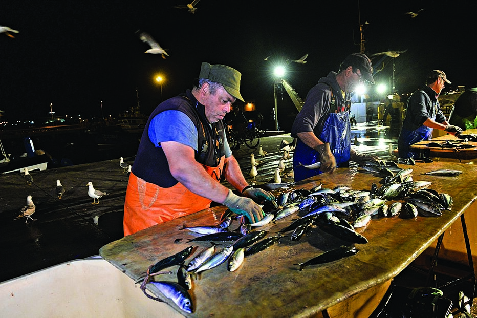 Capturas aumentam 18% em seis meses 