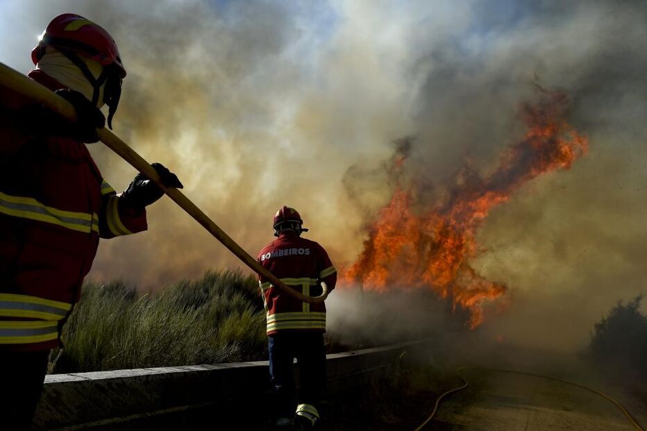 Guarda, Castelo Branco, Portalegre, Faro, incêndios, alerta