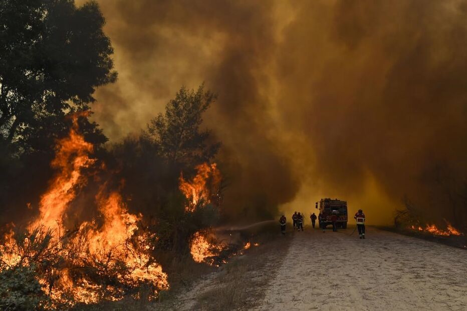 Incêndios, ANPC, ocorrências, detidos