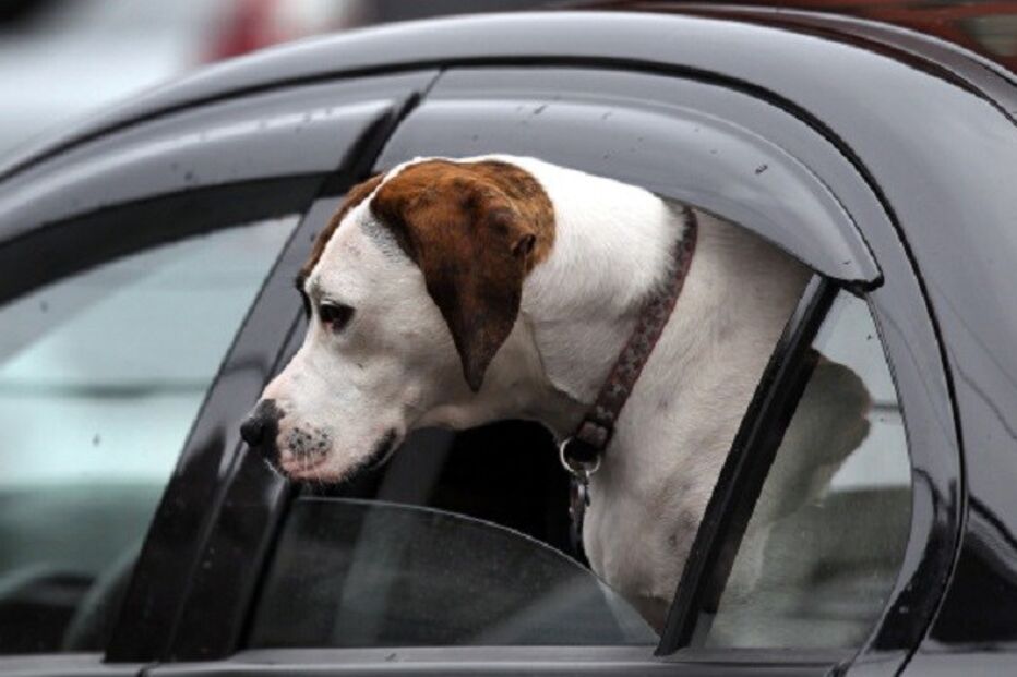 16-08-2015_23_25_03 ml acidente.jpg