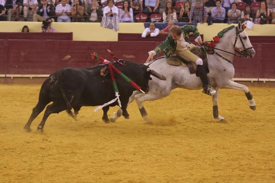 joão telles jr., tauromaquia